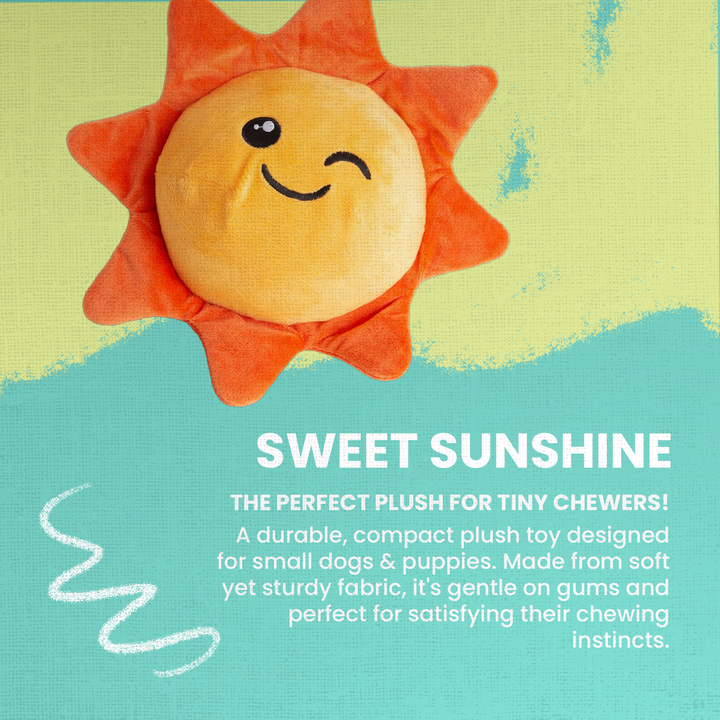 Sweet Sunshine