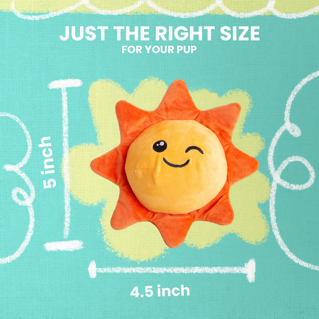 Sweet Sunshine