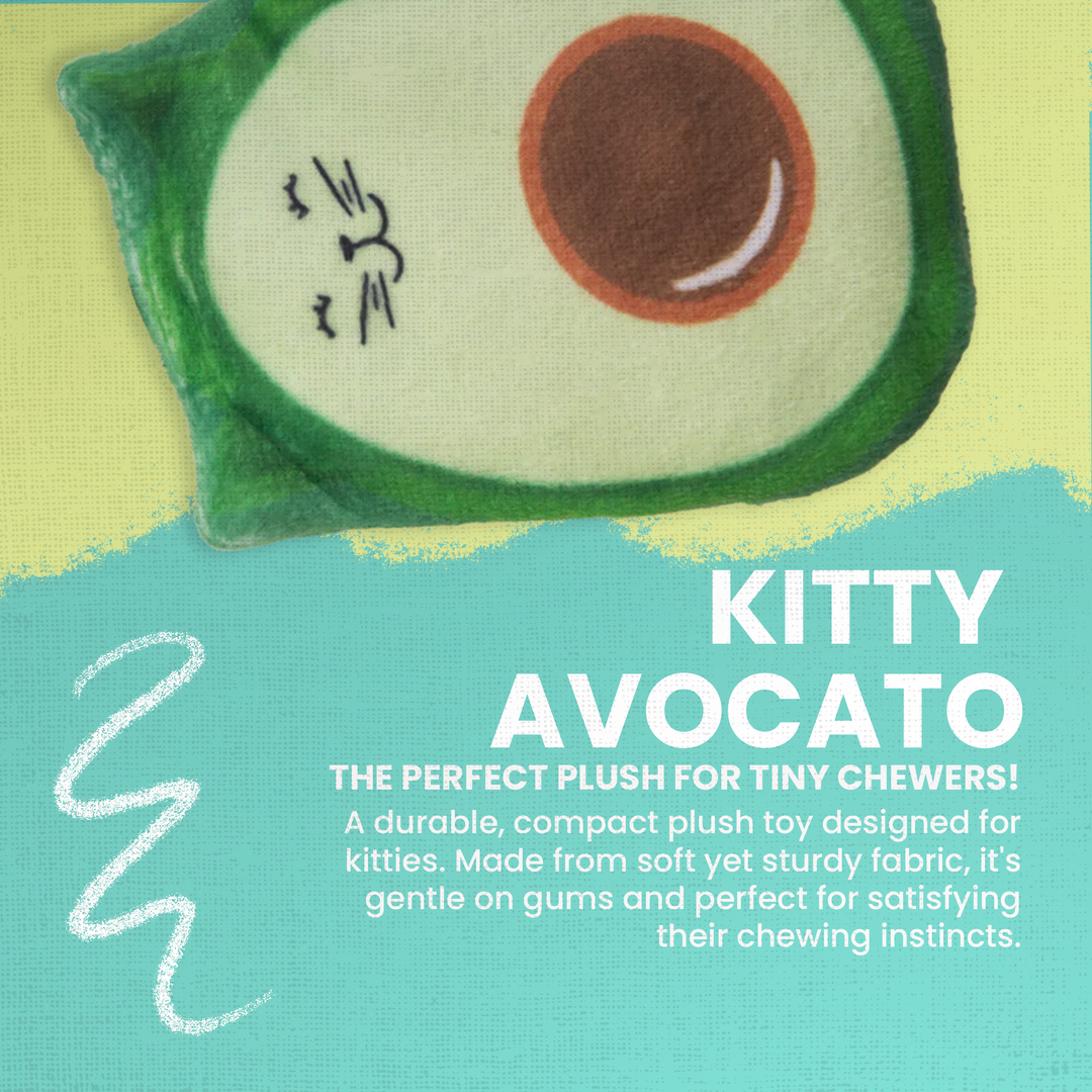 Kitty Avocato with Catnip