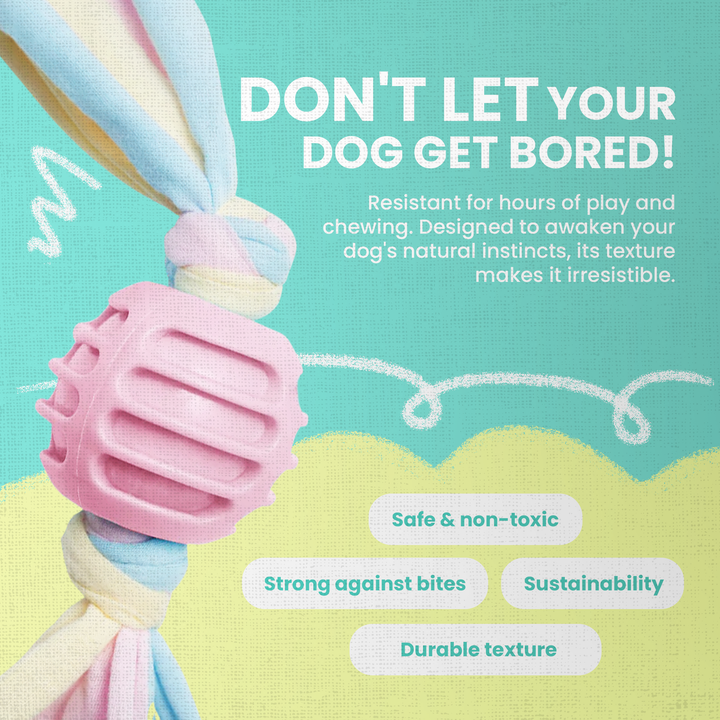 Snuggle Ball