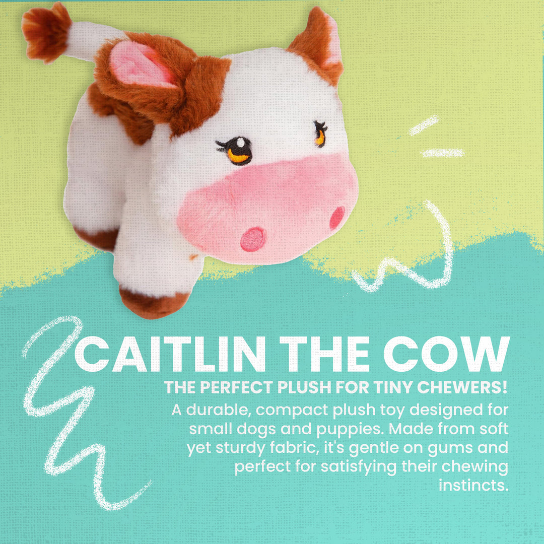 Caitlin the Cow