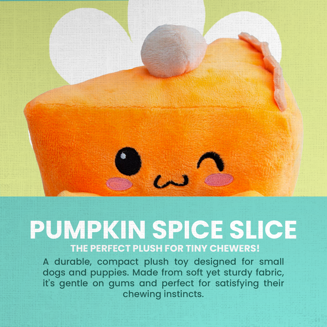 Pumpkin Slice