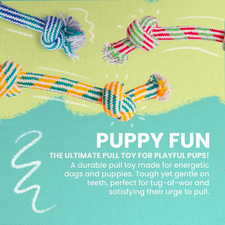 Puppy Fun