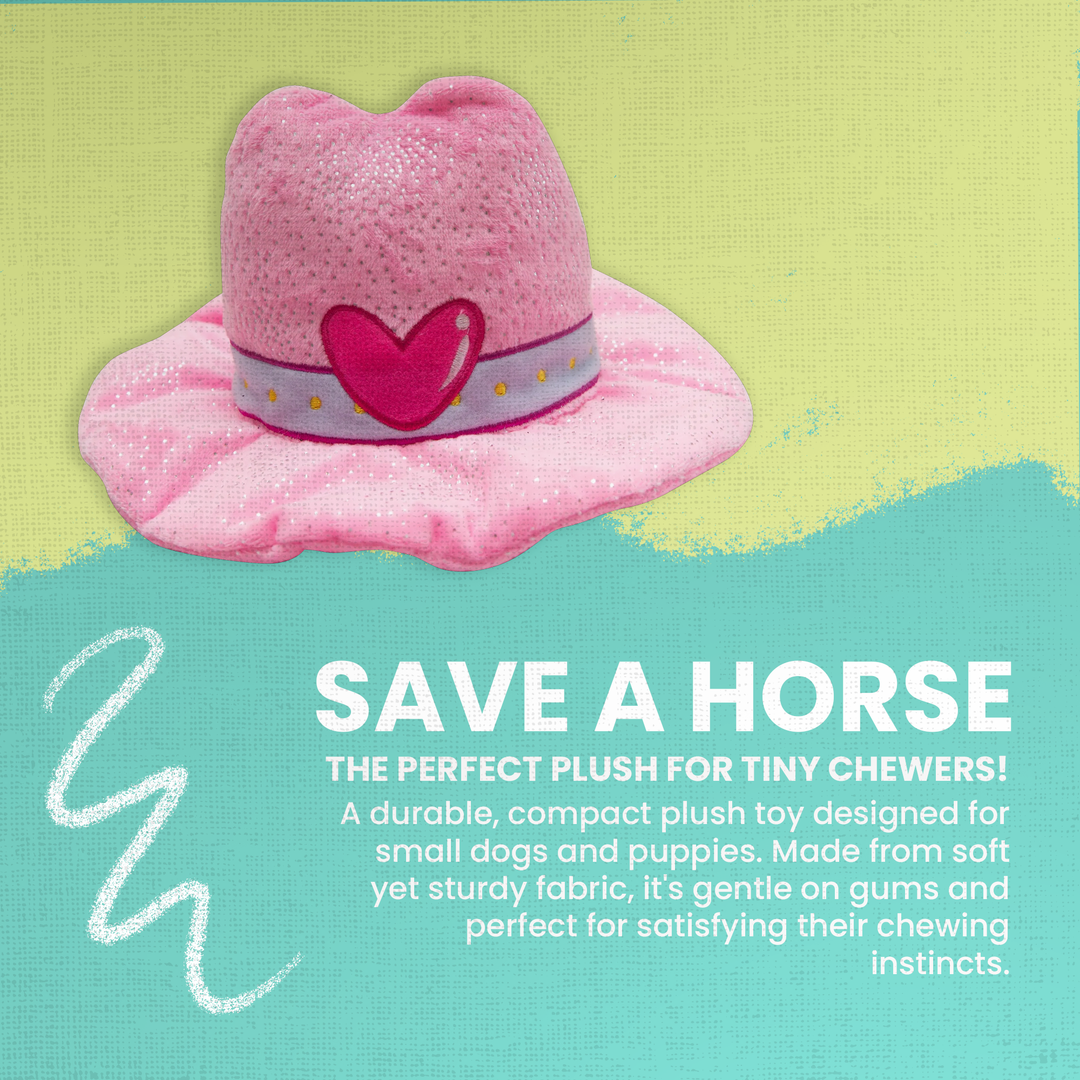 Save A Horse