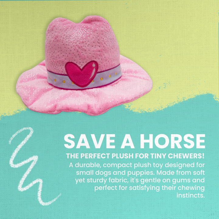 Save A Horse