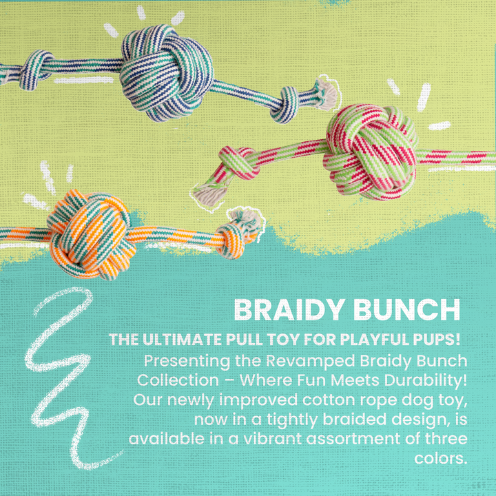 Braidy Bunch