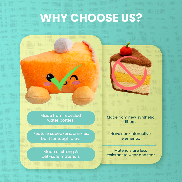 Pumpkin Slice