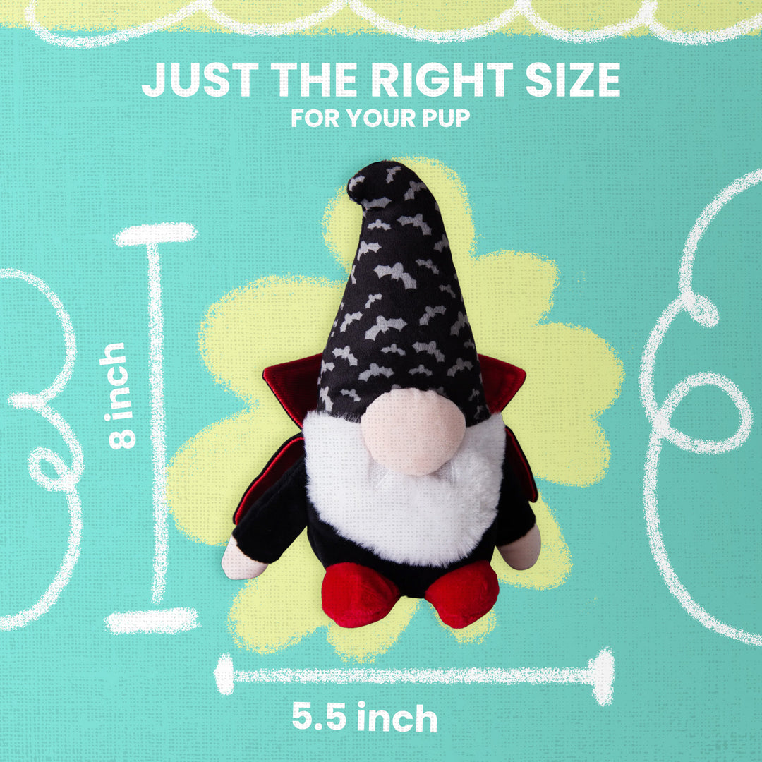 Drac the Gnome