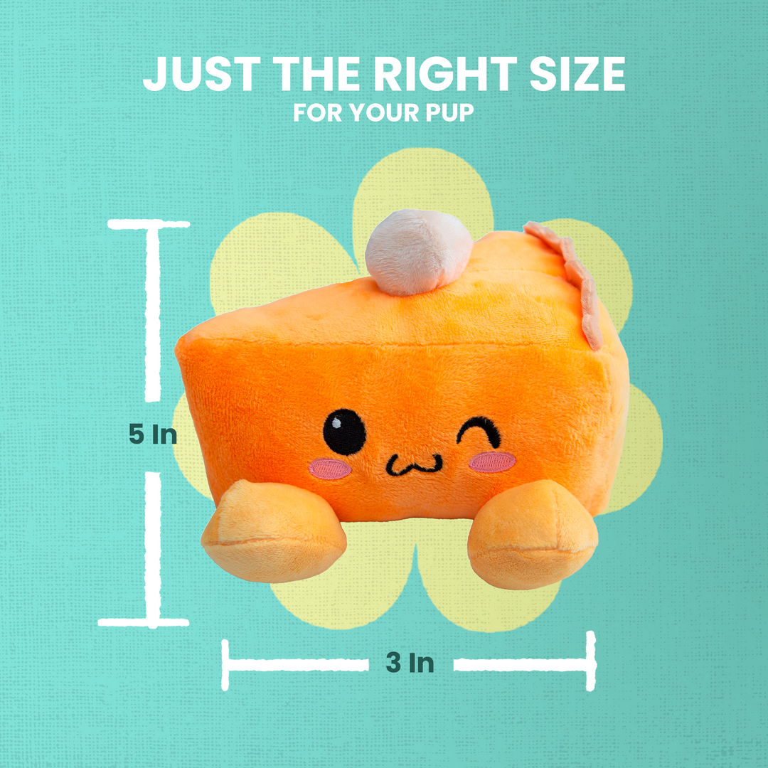 Pumpkin Slice