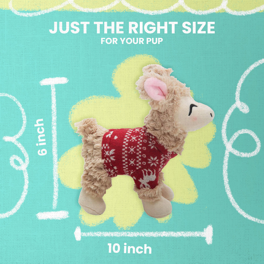 Lady the Llama