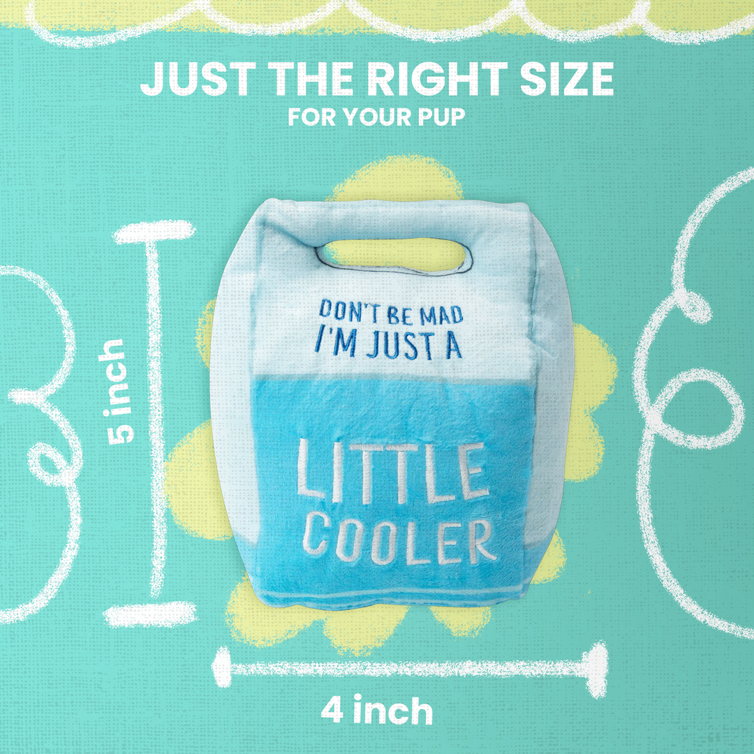 lil Cooler