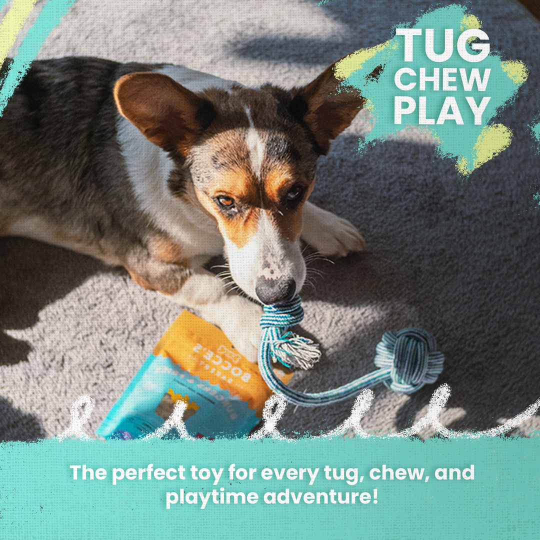 Puppy Fun