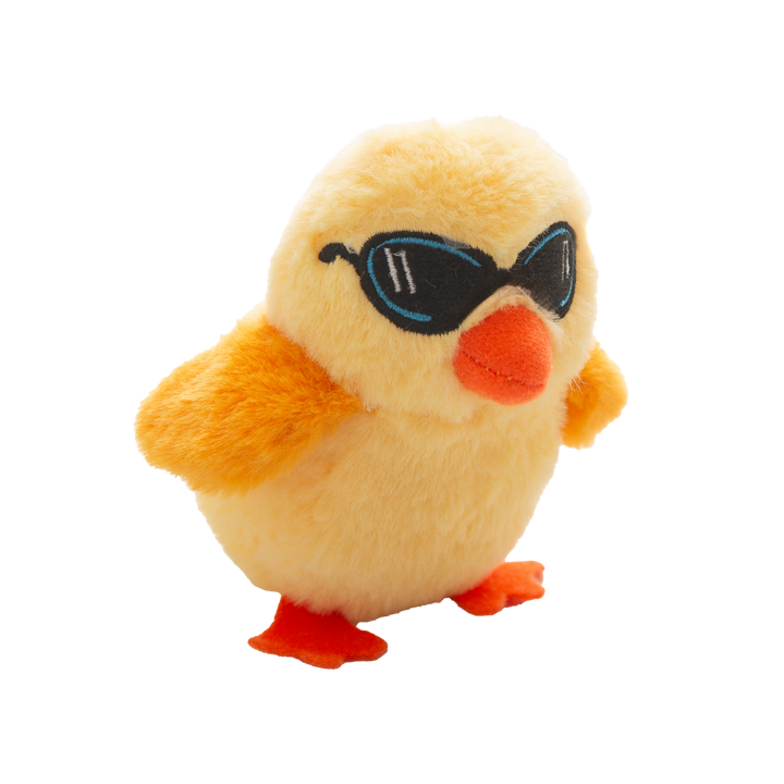 Cool Chick