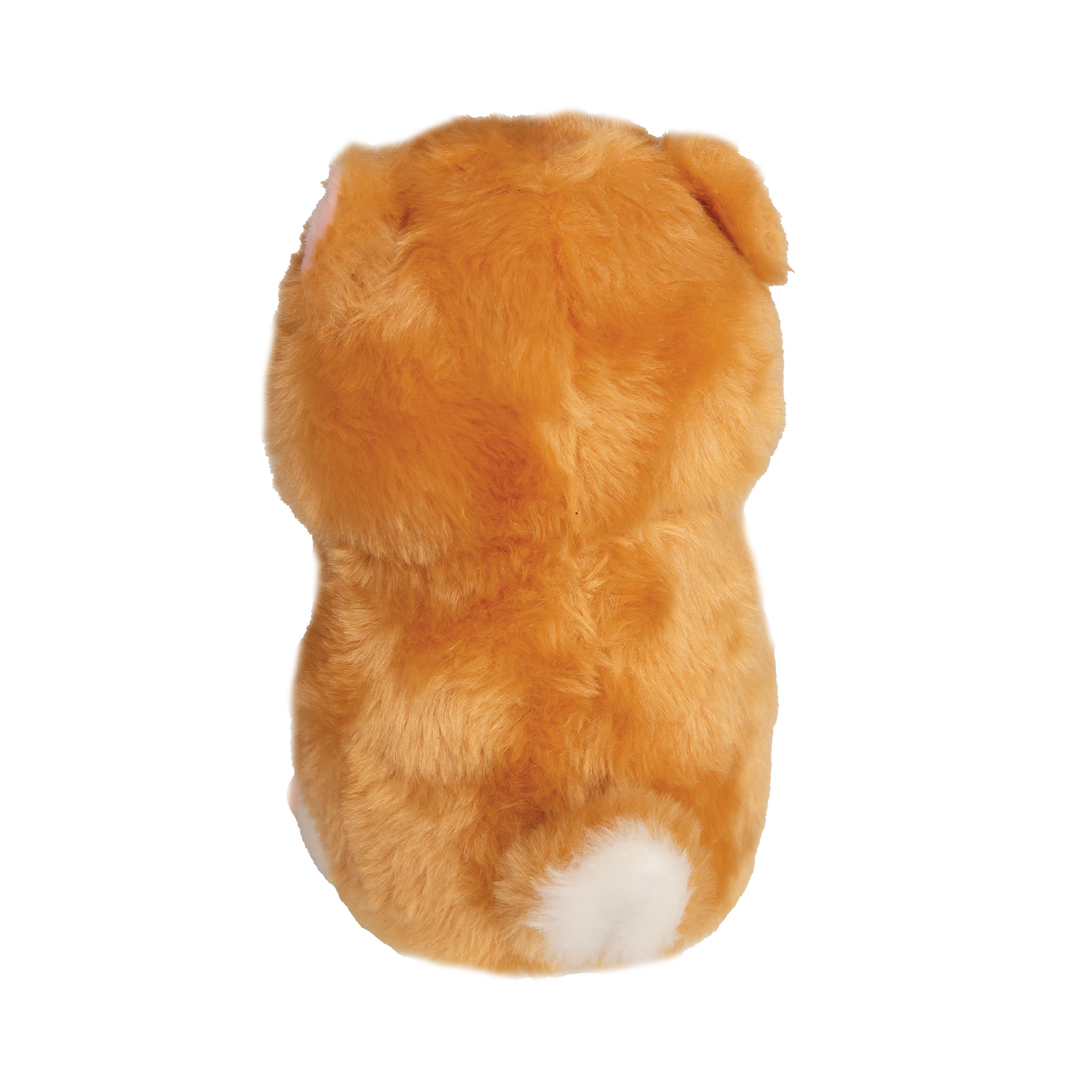 Hannah's Hampster