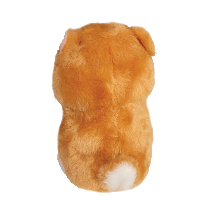 Hannah's Hampster