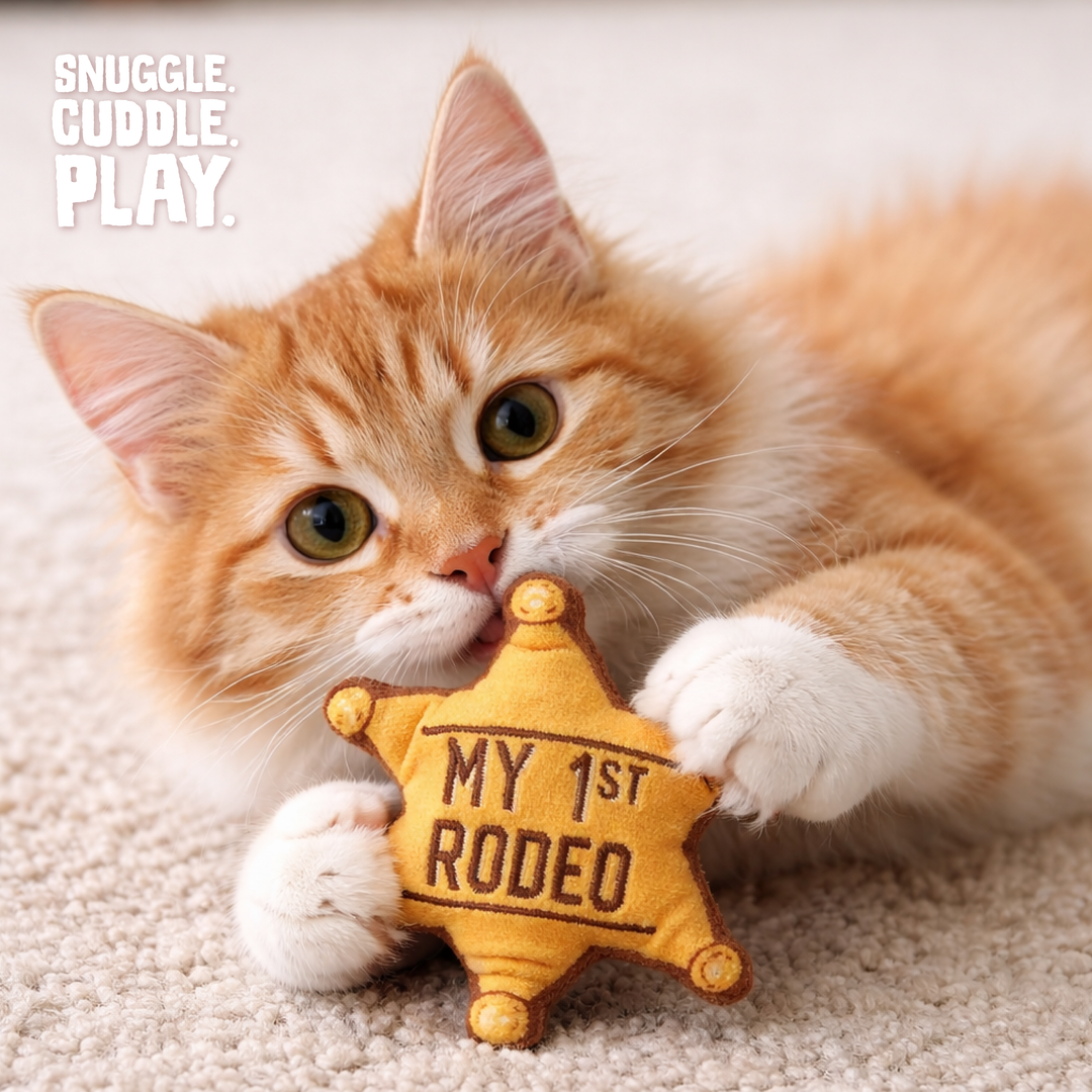 Kitty 1st Rodeo with Catnip