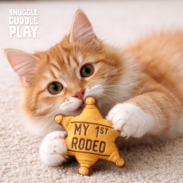 Kitty 1st Rodeo with Catnip