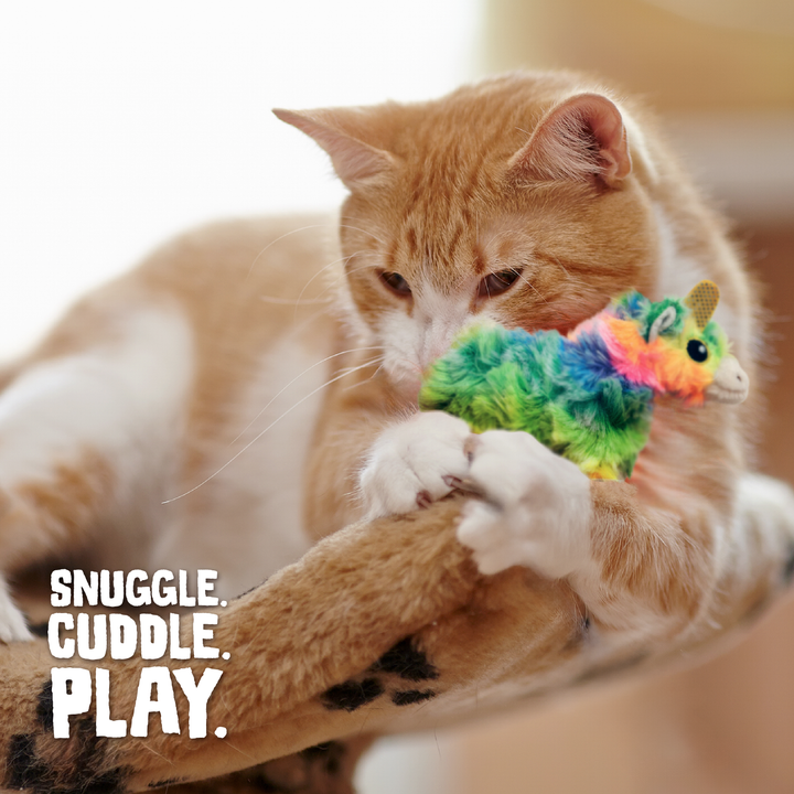 Kitty Momma with Catnip