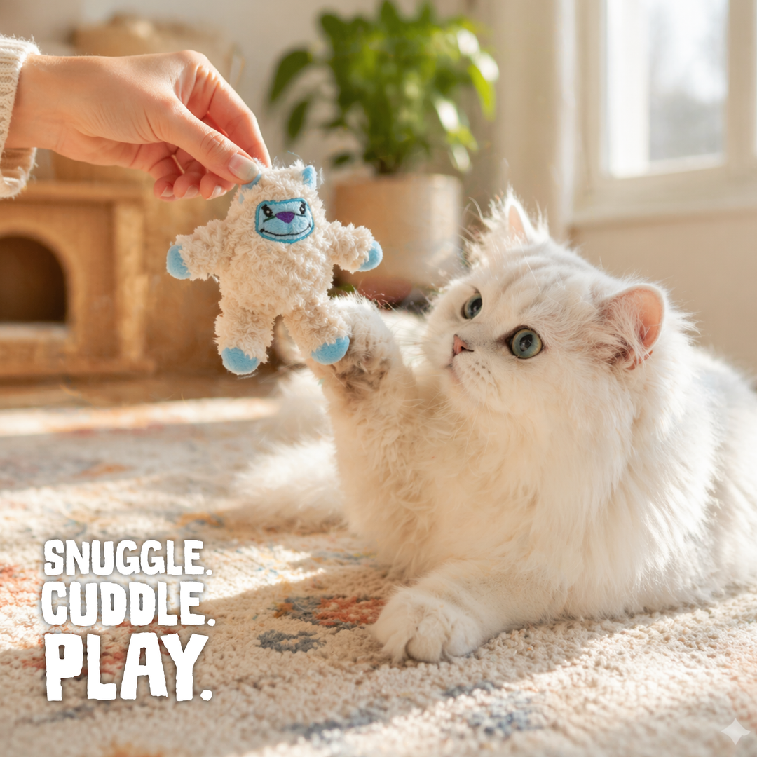 Kitty Yeti with Catnip