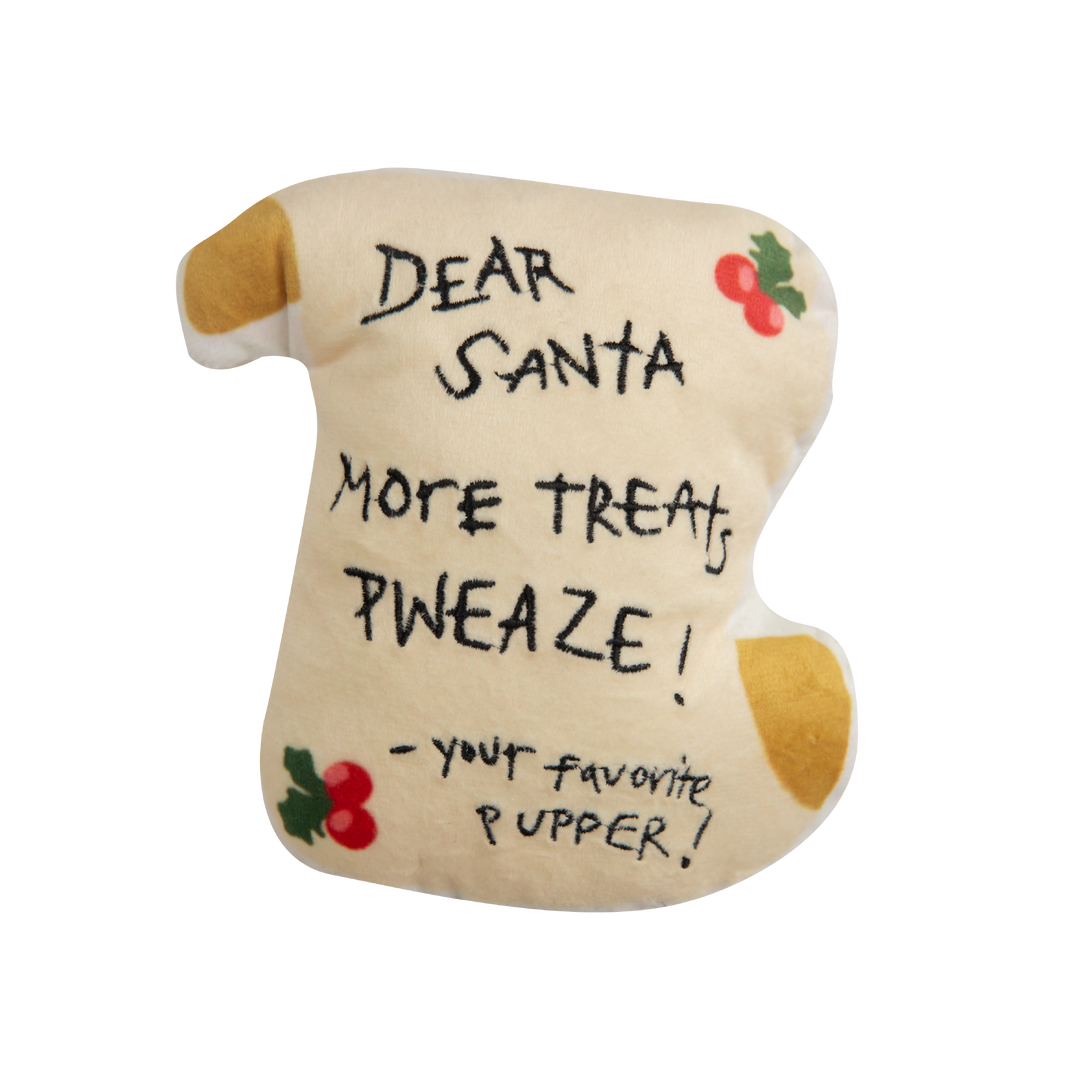 Dear Santa Letter