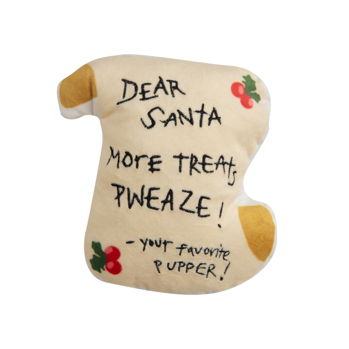 Dear Santa Letter